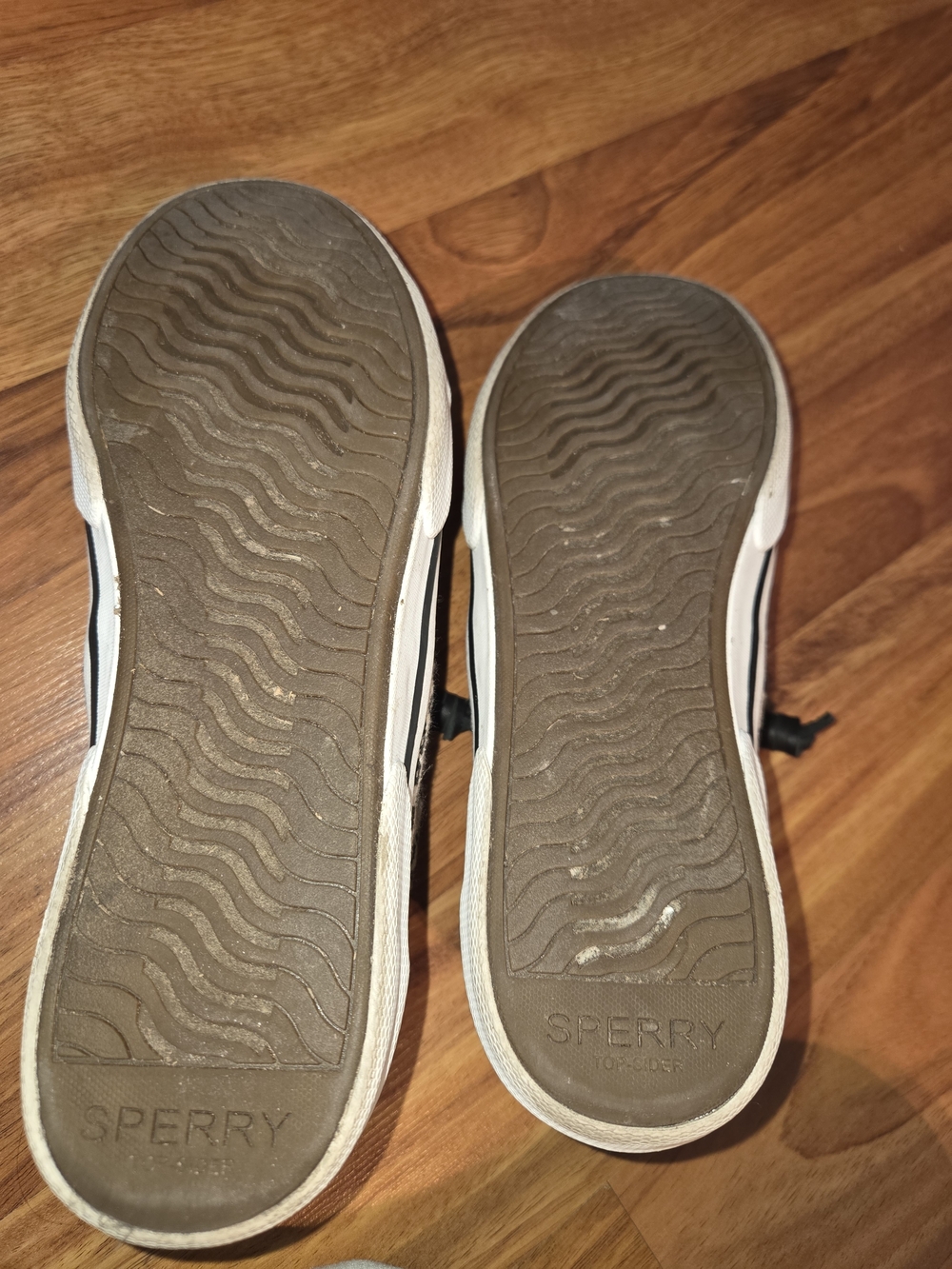 Sperry Leopard Print Canvas Sneakers - Black & Cream - Picture 6 of 6